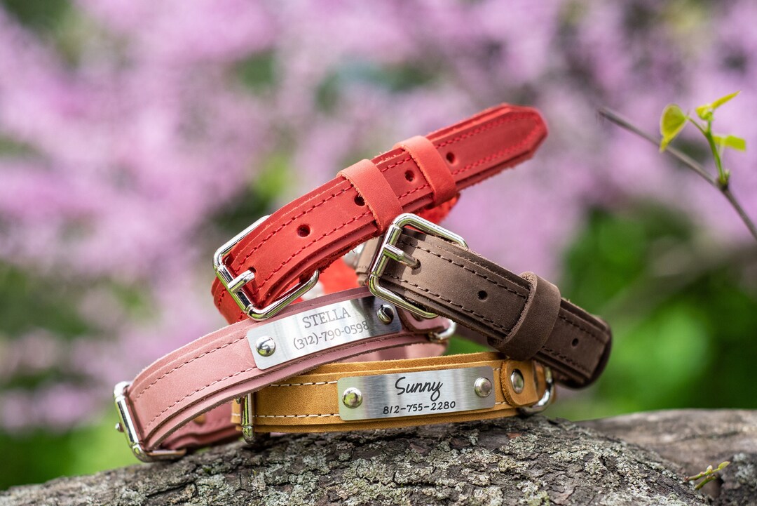 Personalized Dog Collar, Red Engraved Dog Collar, Leather Red Dog
