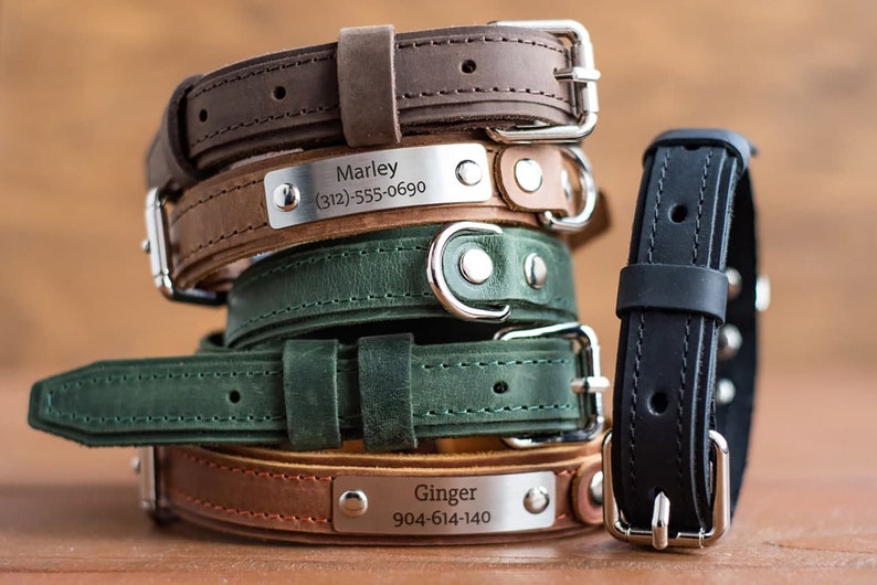 Personalized leather dog collar green