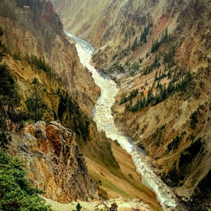 Grand Canyon of the Yellowstone,Yellowstone Falls Fine Art Photography, Montana Ranch Wall Art, Wyoming Cabin Decor, Yellowstone River Print