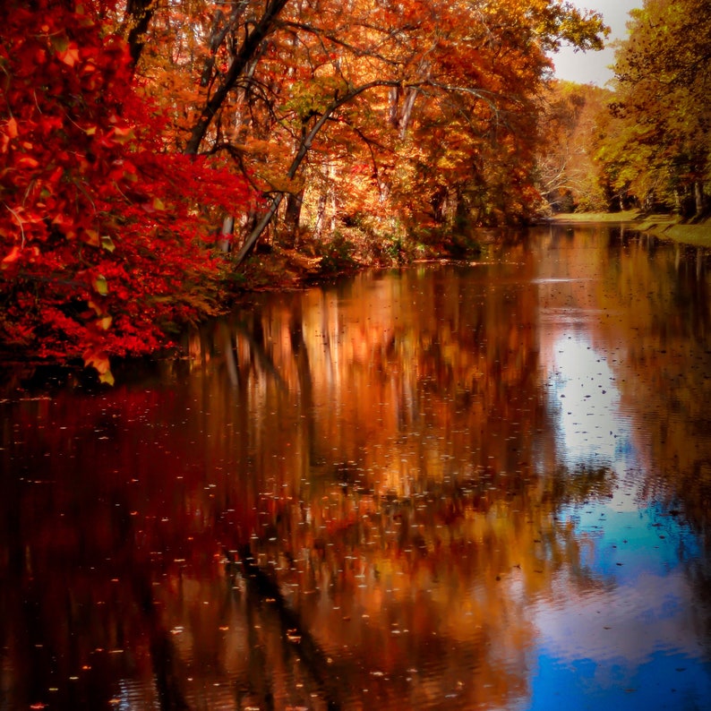 Autumn Lake Photography Autumnal Foliagefall Forest - Etsy