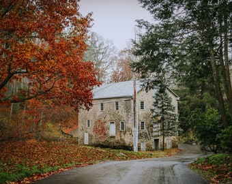 Country Home Fine Art Photography, Autumn Foliage Wall Decor, Rustic Cottage Print, Fall Decor, Autumn Colors, Fall Leaves,Nature, Red Green