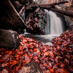 Waterfall Photography,Autumnal Decor,Autumn Woods,Waterfall Print, Forest,Autumn Foliage,Waterfall Print,Red Leaves,Rural Fine Art