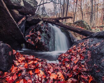 Waterfall Photography,Autumnal Decor,Autumn Woods,Waterfall Print, Forest,Autumn Foliage,Waterfall Print,Red Leaves,Rural Fine Art