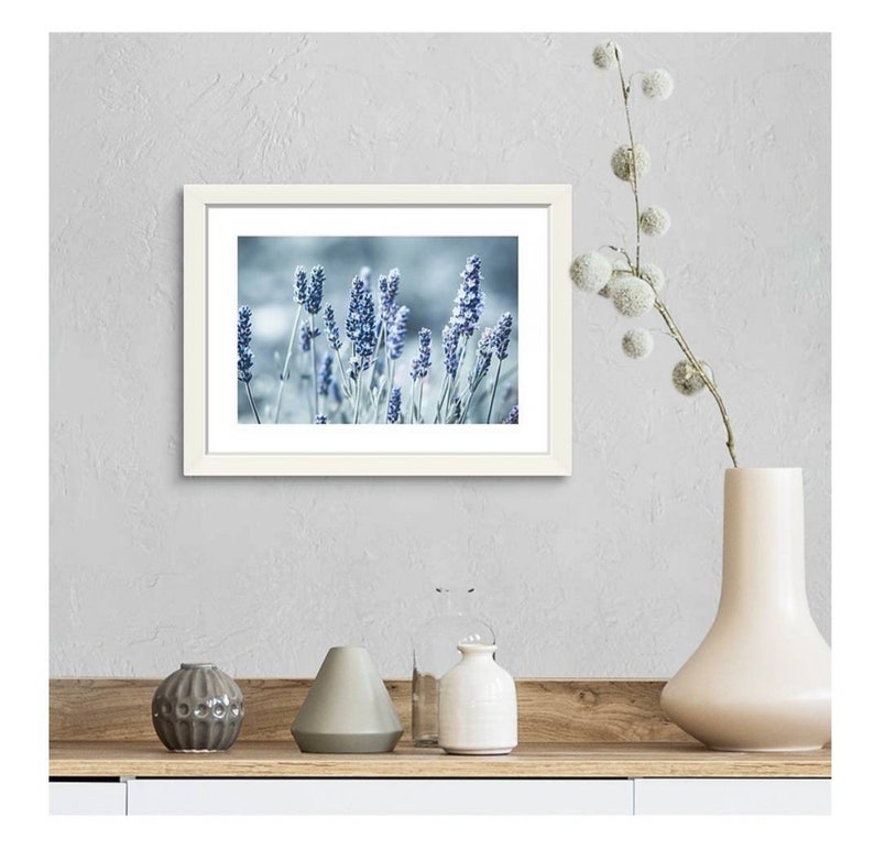 Lavender Print Floral Print Pastel Flower Nursery Decor Nature Photo Lavender Lilac Blue Flower Fine Art Photograph Bedroom Flower Wall Art image 3