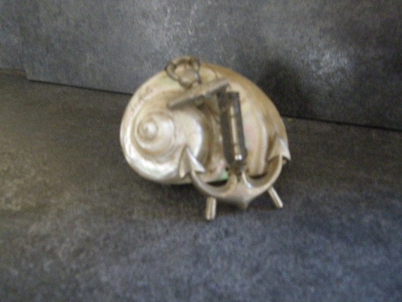 Coquillage Souvenir Bord De Mer Vintage France Debut Xxeme Etsy Ireland