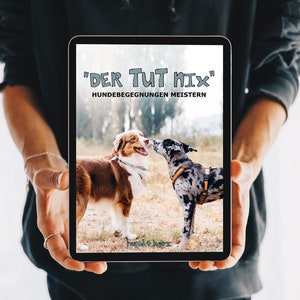 eBook Hundebegegnungen meistern | Der tut nix | Leinenaggression, Unsicherheit, Reaktivität, Körpersprache lesen & richtig reagieren