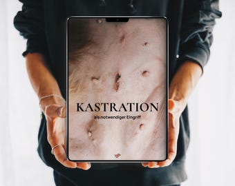 Ratgeber zur Hundeerziehung: Kastration als notwendiger Eingriff // Erfahrungsbericht inkl. Läufigkeitstracker und Merkblatt
