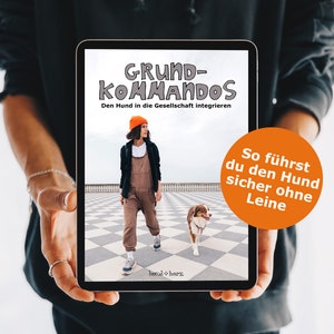 eBook Hundetraining: Grundkommandos – den Hund in die Gesellschaft integrieren | Alltagstraining, Rückruf, Leinenführigkeit, Impulskontrolle
