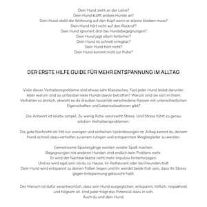 eBook Hundeerziehung: Der entspannte Hund | Ruhetraining, Impulskontrolle & Alltagstraining für gestresste Hunde image 2