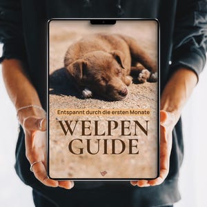 eBook Welpenerziehung: Der Welpenguide | Welpe richtig erziehen, Alltag meistern, Stubenreinheit, Ruhe, Grenzen, Vertrauen aufbauen