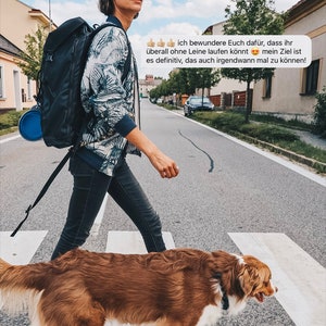 Ratgeber zur Hundeerziehung: Grundkommandos den Hund in die Gesellschaft integrieren image 5