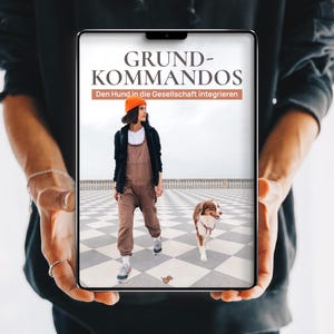 eBook Hundetraining: Grundkommandos – den Hund in die Gesellschaft integrieren | Alltagstraining, Rückruf, Leinenführigkeit, Impulskontrolle
