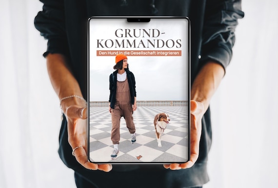 eBook Hundetraining: Grundkommandos – den Hund in die Gesellschaft integrieren | Alltagstraining, Rückruf, Leinenführigkeit, Impulskontrolle