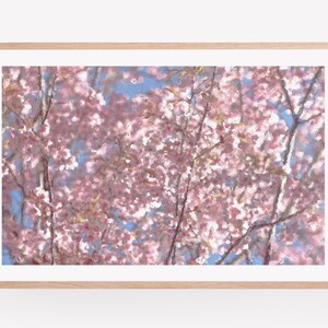 Cherry Blossom Flower Wall Art Print, Cherry Blossom Art, Photography Prints, Nature Photography, Flower Wall Art, Cherry Blossom Print
