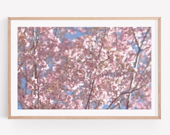 Cherry Blossom Flower Wall Art Print, Cherry Blossom Art, Photography Prints, Nature Photography, Flower Wall Art, Cherry Blossom Print