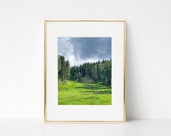 Forest Scene Print, Hiking Art, Photography Prints, Nature Photography, Forest Nature Wall Art, Forest Landscape
