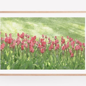 Tulip Flower Wall Art Print, Tulip Art, Photography Prints, Tulip Photography, Flower Wall Art, Tulip Print, Tulip Photography