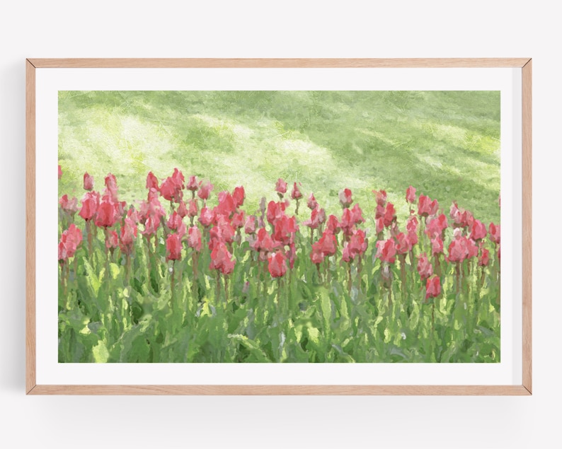 Tulip Flower Wall Art Print Tulip Art Photography Prints | Etsy