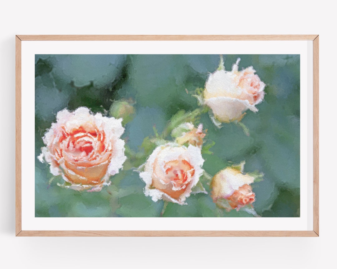 Pink Rose Roses Flower Wall Art Print, Roses Art, Photography Prints ...