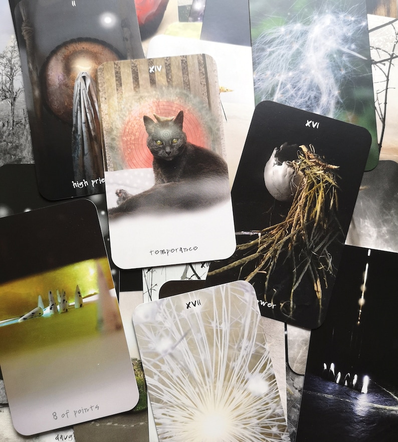 Pu&ograve; includere: Una collezione di tarocchi con varie illustrazioni. Una carta presenta un gatto nero con la parola "temperance". Altre carte mostrano immagini di un dente di leone, un nido e figure astratte. Le carte hanno un'estetica vintage e artistica.