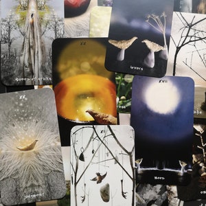 Pu&ograve; includere: Una collezione di carte dei tarocchi con varie illustrazioni. Le carte presentano immagini di uccelli, alberi ed elementi celesti. Alcune carte hanno testo come "Queen of Sticks", "Lovers", "Judgment" e "Hanged Man". La tavolozza dei colori include sfumature di grigio, nero e bianco.