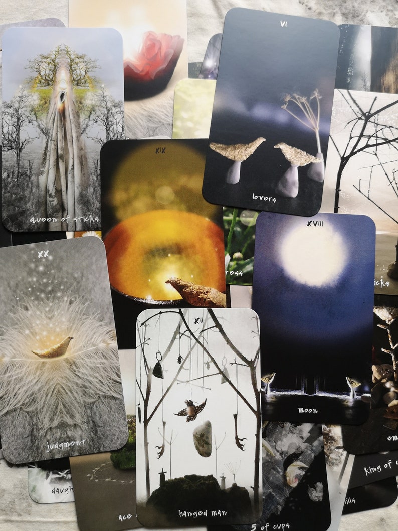 Pu&ograve; includere: Una collezione di carte dei tarocchi con varie illustrazioni. Le carte presentano immagini di uccelli, alberi ed elementi celesti. Alcune carte hanno testo come "Queen of Sticks", "Lovers", "Judgment" e "Hanged Man". La tavolozza dei colori include sfumature di grigio, nero e bianco.