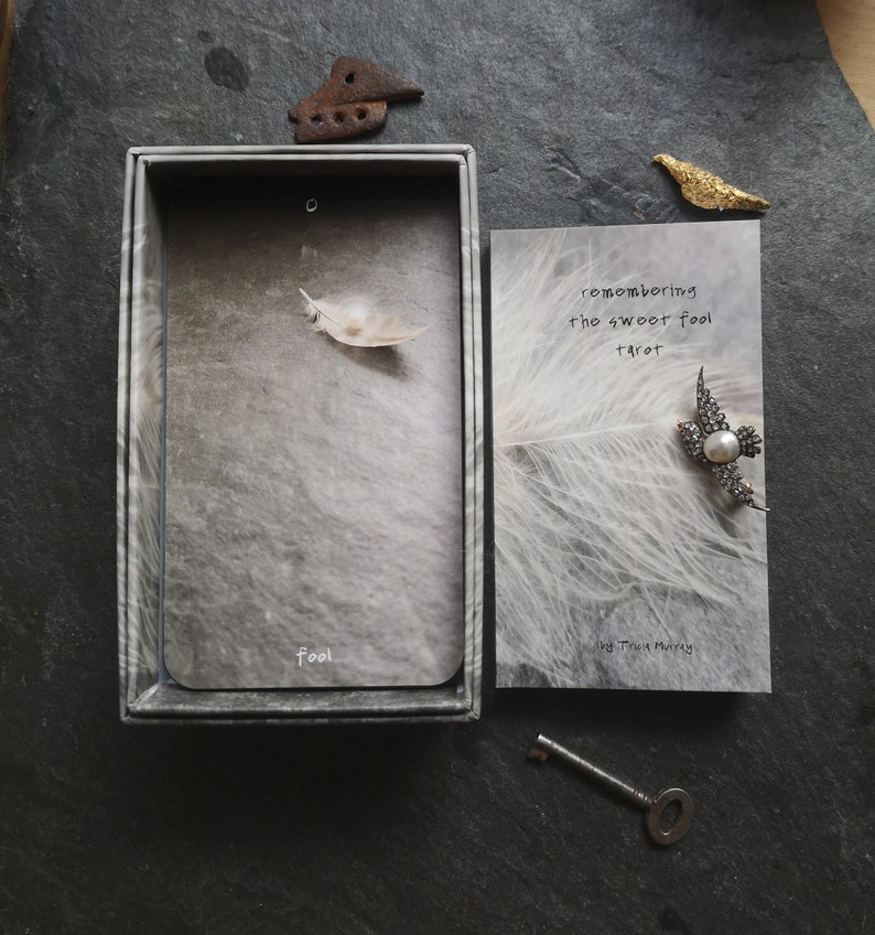 Pu&ograve; includere: Una scatola di carte dei tarocchi aperta con una carta che recita "remembering the sweet fool tarot" accanto a una carta con la parola "fool". Sono presenti anche una piuma, una chiave e pezzi di metallo decorativi.