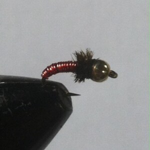 Può includere: Primo piano di una mosca da pesca rossa e nera con una testa di perline dorate. La mosca ha un corpo segmentato e un'ala scura e sfocata. L'amo è visibile, su sfondo neutro.