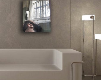 Aludibond: RECLUSO #02, 2022