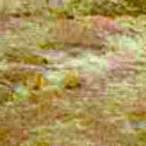 Puede incluir: Imagen abstracta con una apariencia texturizada y terrosa. Los colores son predominantemente tonos de marr&oacute;n, verde y amarillo, creando una sensaci&oacute;n natural y org&aacute;nica. La palabra "KING" y las letras "AA100" son visibles.