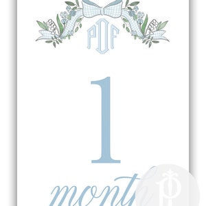 Baby Meilensteinkarten in Blau / Blumen / Geschenk / Babyparty / Klassisch / Junge
