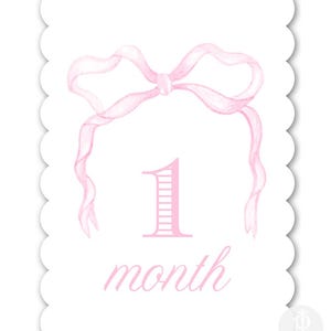Cartes d'étape personnalisées monogramme rose pour bébé / Floral / Cadeau / Baby Shower / Classique / Bébé fille