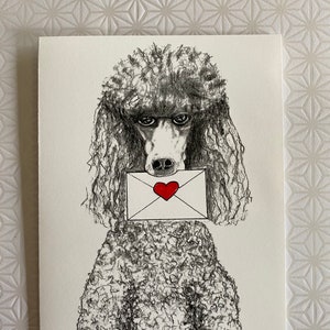 Huit cartes de vœux (8) représentant un caniche avec un chien tenant une enveloppe cachetée d'un cœur.