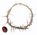Crown of thorn hand made in Jerusalem from natural rose vein size 20cm product logo