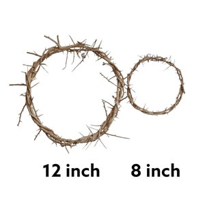 Crown of thorn 12-inch big size a lot of thorn natural rose vein