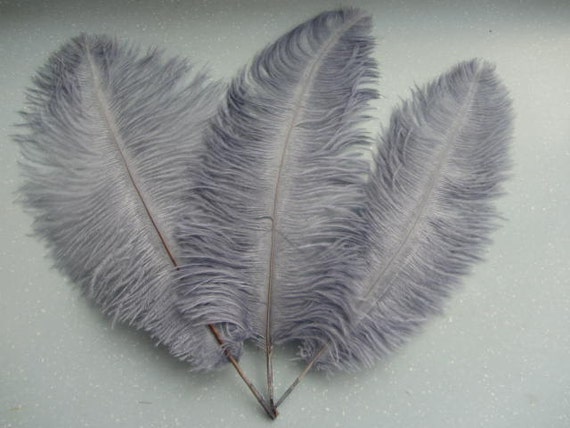 gray ostrich feathers