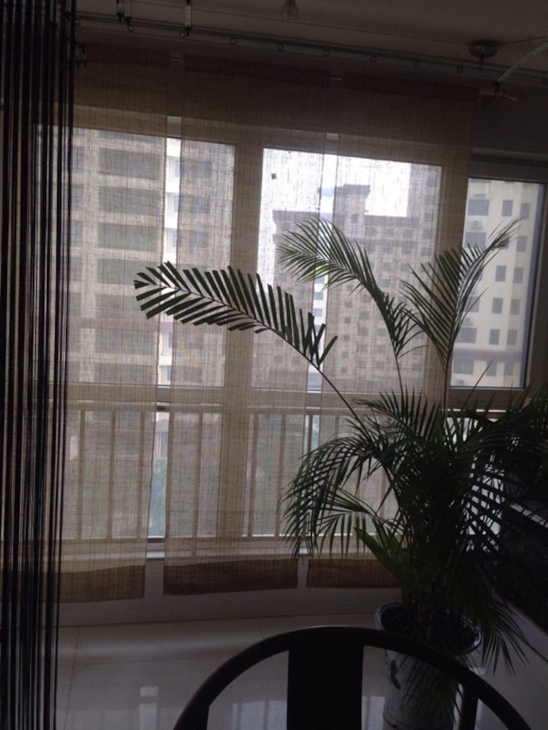 May include: A potted palm tree sits in front of a window with sheer curtains. The window looks out onto a city skyline.