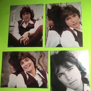 Set of 4 David Cassidy Magnets!
