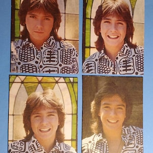 David Cassidy Magnets