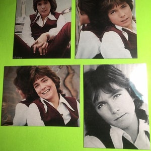Set of 4 David Cassidy Magnets!