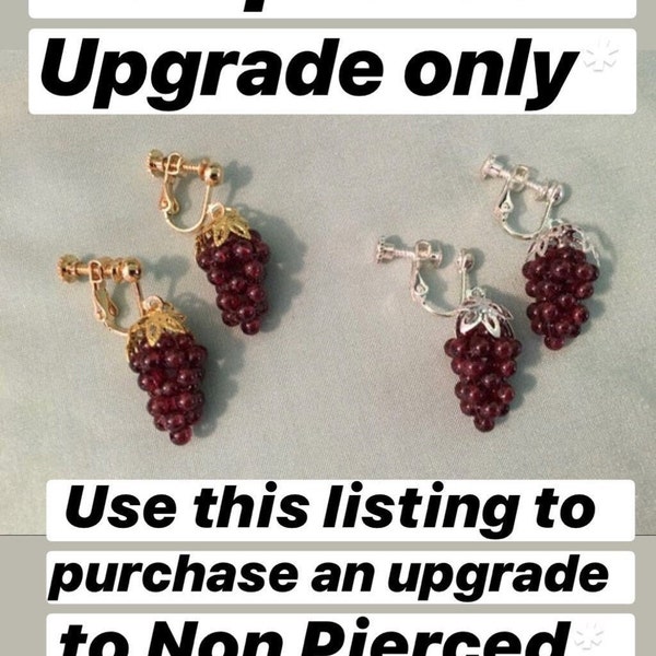 NON Pierced UPGRADE only, Change your Earrings to Non Pierced, Adjustable Screw back Clip On style, must purchase with earrings listing