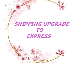 Versand Upgrade für Express