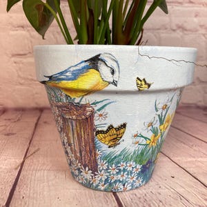 Puede incluir: Maceta de cerámica azul claro pintada a mano con una ilustración detallada de un pájaro azul y amarillo posado en un tocón de madera, rodeado de mariposas y flores. Contiene una planta verde.