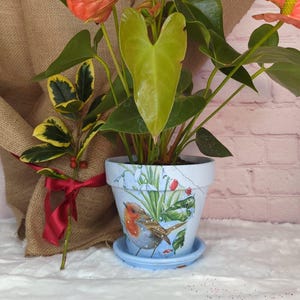 May include: Anthurium plant in a light blue pot with a robin and floral design. The plant has red flowers and green leaves. A sprig of variegated leaves is tied with a red ribbon. The pot is decorated with a robin.