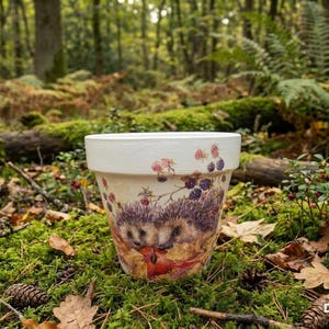 Vaso per piante a forma di riccio decorato con tecnica decoupage, realizzato a mano - Regalo personalizzato per il giardino - Fioriera per interni/esterni - Decorazione autunnale a tema bosco - Regalo personalizzato con nome