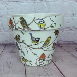 Puede incluir: Maceta de cerámica blanca decorada con pájaros coloridos posados en ramas. Los pájaros, como petirrojos y herrerillos, están representados en varios colores. Adecuada para uso interior o exterior.