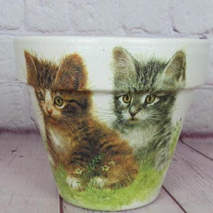 Könnte beinhalten: Weißer Keramik-Blumentopf mit einer detaillierten Illustration von zwei Kätzchen. Eines ist braun und hellbraun, das andere grau und schwarz. Beide Kätzchen sind in grünem Gras mit kleinen gelben Blumen dargestellt.