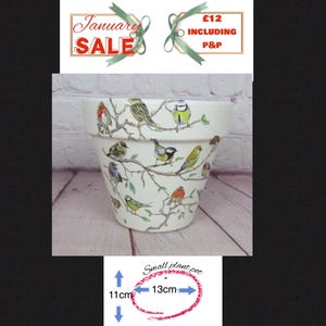 May include: A white ceramic flower pot with a design of colorful birds on branches. The pot is 13 inches wide and 11 inches tall.