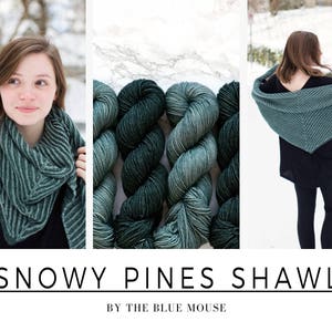 Shawl Knitting Luxury Yarn Set | Snowy Pines | PREORDER
