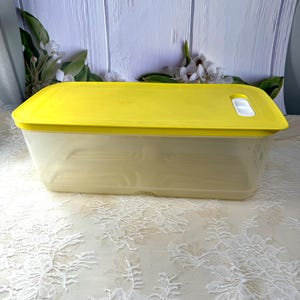 May include: A yellow plastic rectangular storage container with a clear base and a yellow lid. The lid has a small white latch on the side.